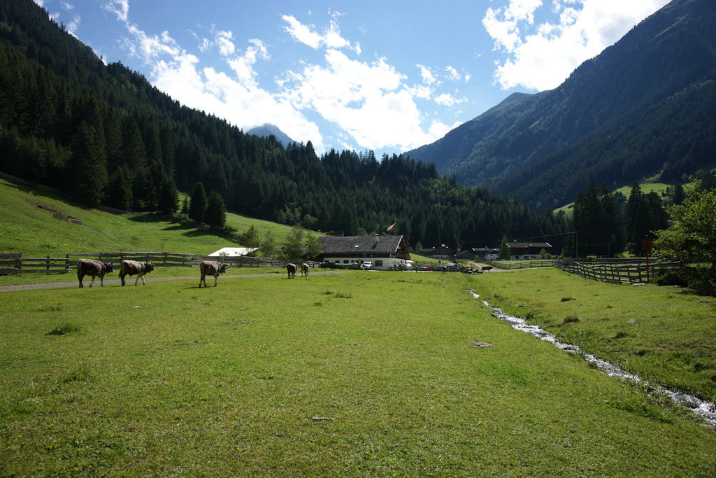 Farm stay Doadlerhof Neustift im Stubaital