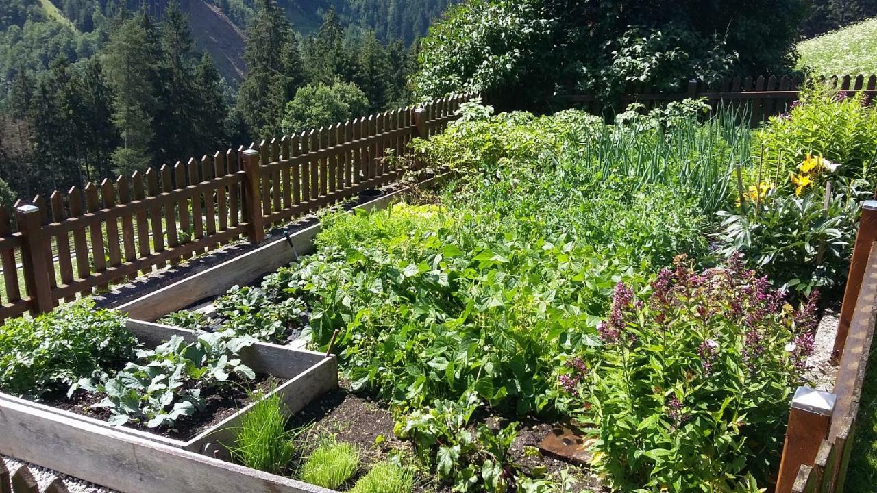 Farm stay Doadlerhof *